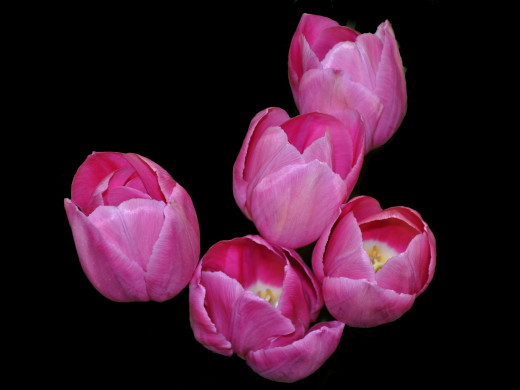 429694 (a): :1600x1200